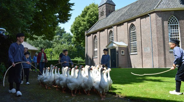Ganzenmarkt (zondag  3 juli 2016)